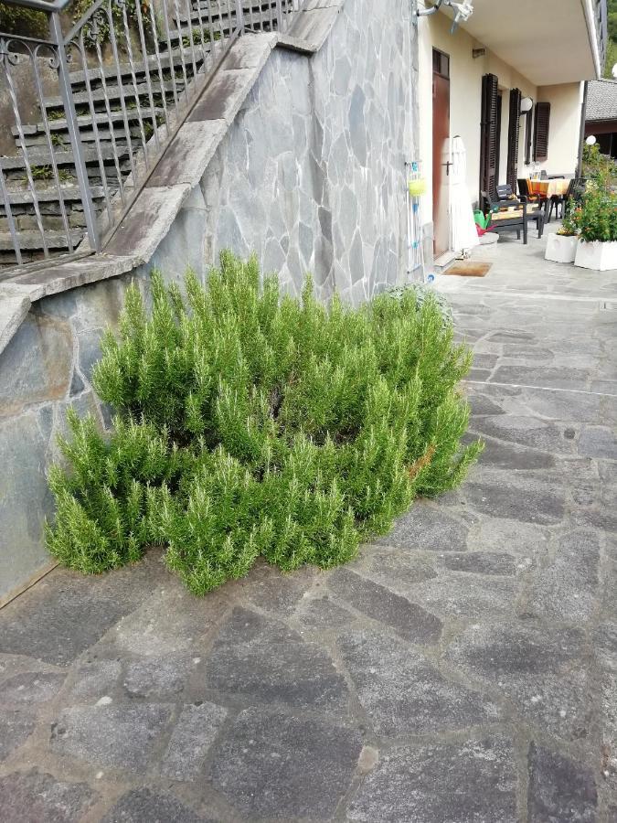 Villa Banfi Lavena Ponte Tresa Bagian luar foto