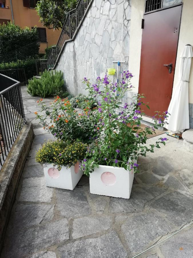 Villa Banfi Lavena Ponte Tresa Bagian luar foto