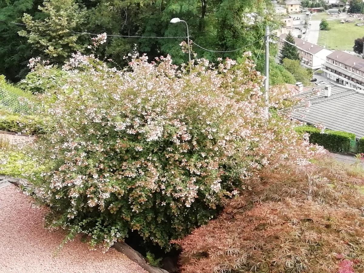Villa Banfi Lavena Ponte Tresa Bagian luar foto
