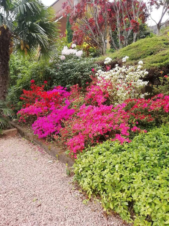 Villa Banfi Lavena Ponte Tresa Bagian luar foto